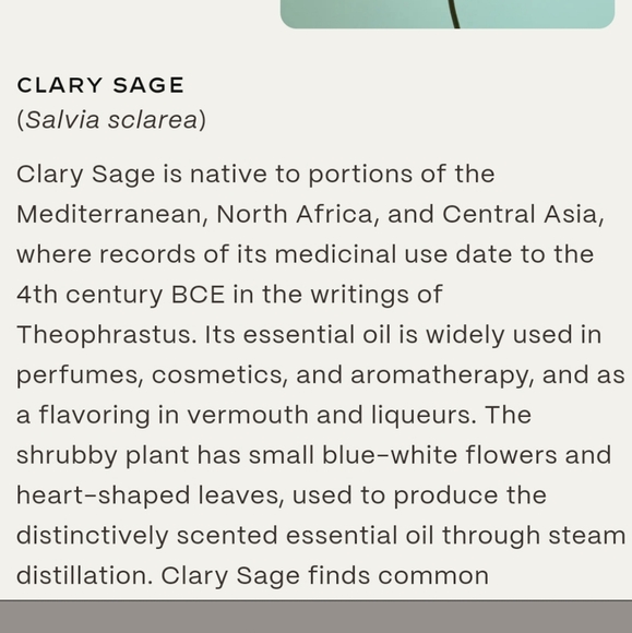 New Twentynine Palms Skincare Cosmic Cypress Facial Cleanser Clary Sage 3.3oz - Picture 6 of 6